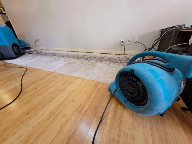 Professional Ceiling Water Damage Repair technician working in Waldoboro, ME